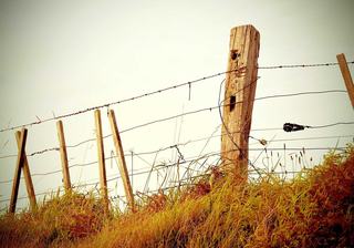 Found Industry